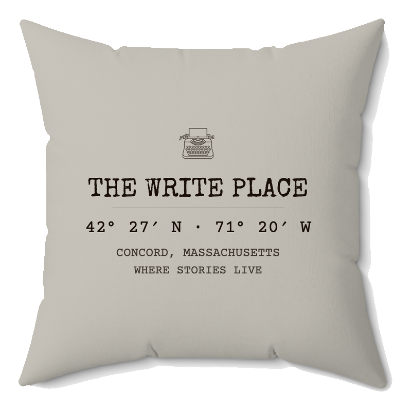 The Write Place coordinates pillow, dove gray